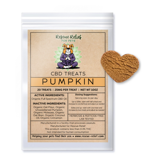 CBD Pumpkin Dog Treats