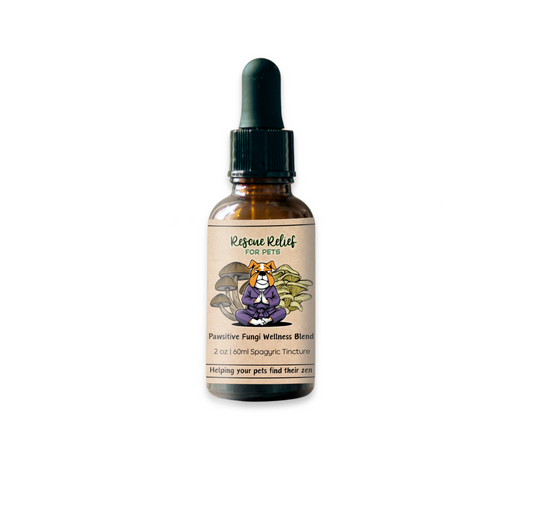Pawsitive Fungi Wellness Blend